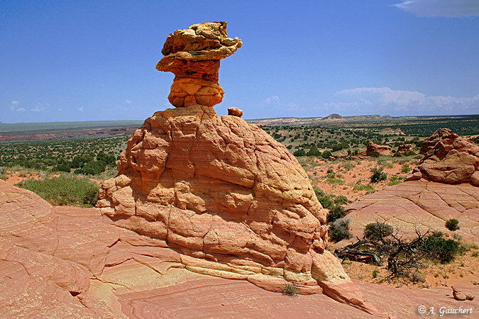 Gnome with head